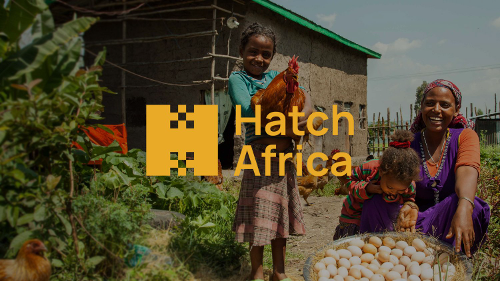 Daba Finance/Hatch Africa bags $9.5m