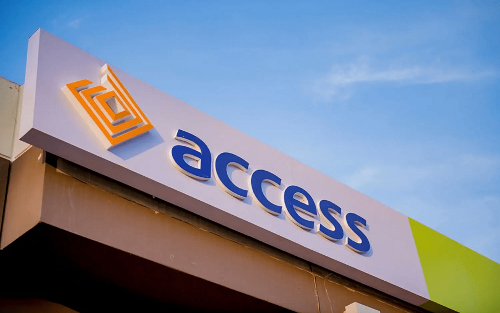 Daba Finance/Nigeria's Access names new head